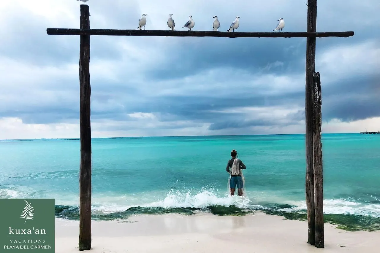 Kuxaan Cielo Terraza Privada Y Comodidad A Pocos Minutos De La Playa Playa del Carmen 0*,